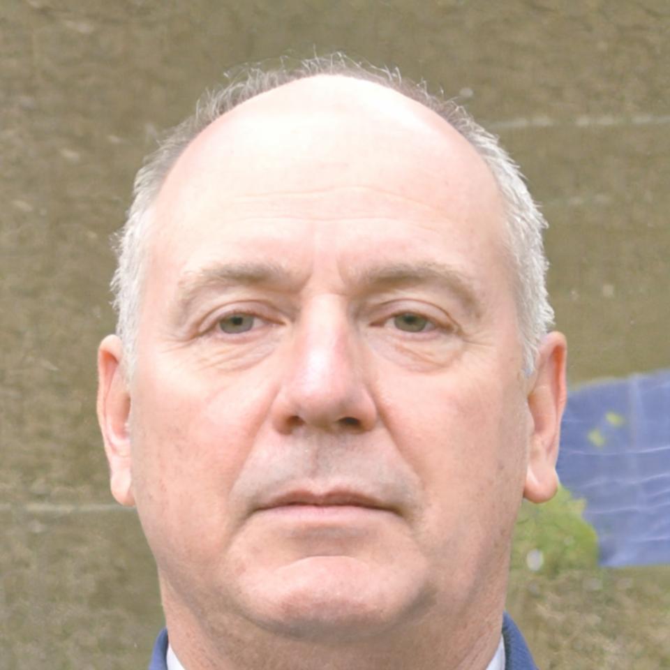 Björn Kastner, Finanzanalyst